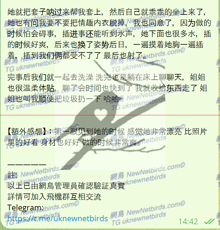 戰號 300 3.png